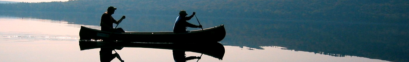 go-hawaii.org Travel Info
