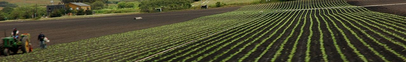 go-hawaii.org Travel Info